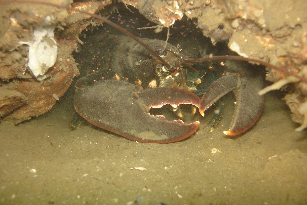 2008-10-18 10-33-02.JPG